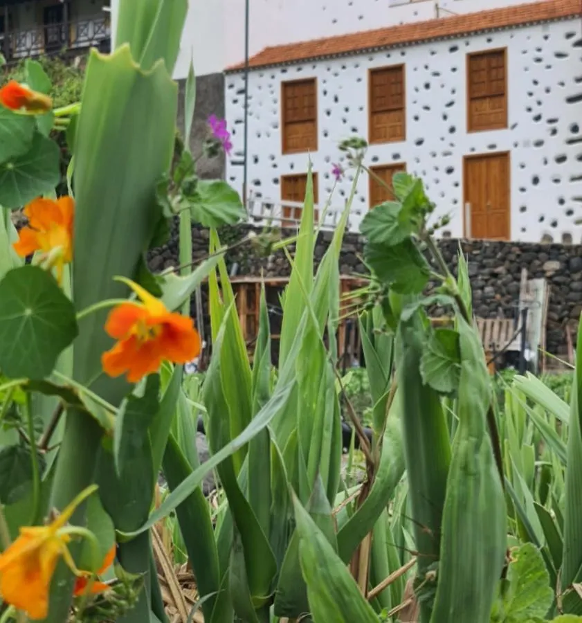 Casa Rural Antigua Escuela I Hermigua
